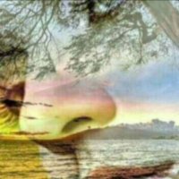 Mary (@marybmwm44) 's Twitter Profile Photo Mary (@marybmwm44) 's Twitter Profile Photo