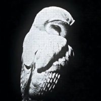 Saeed. (@227743) Twitter profile photo