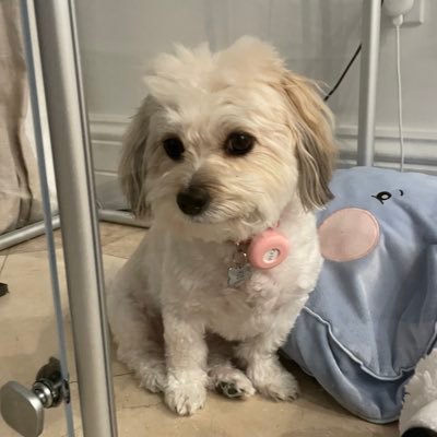 ats04_'s profile picture. 