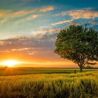 Jssica247881's profile picture. amo cuzinho de homem