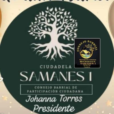 El Consejo Barrial de Participación Ciudadana de Samanes , en Guayaquil, es un órgano de participación ciudadana que representa a la comunidad en la gestión