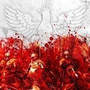 Bartłomiej Grzebalski ✝️🇵🇱❤️🔥 (@grzebalski86888) 's Twitter Profile