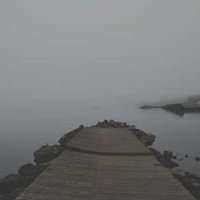 Jason Choi (@jasonchoi24272) 's Twitter Profile