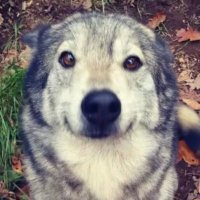 L!!!! (@lthefreaky) 's Twitter Profile