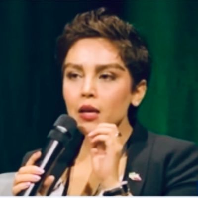 روزنامهنگارِ لیبرال، ایرانگرا و فمینیست /«دلبستهی ایران» Journalist in Political Economy / Feminist
