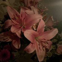ُ (@aashiqrumaan) 's Twitter Profile Photo ُ (@aashiqrumaan) 's Twitter Profile Photo
