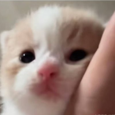 lioさんのプロフィール画像