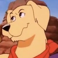 Amber (Pregnant) (@retrieverdamber) 's Twitter Profile