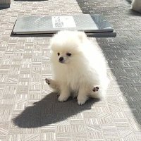 ゆう (@00jsd) 's Twitter Profile