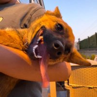 Hakan (@rigaswizard) 's Twitter Profile