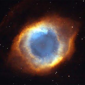I am a seeker of what is true in all matters. I repost what I feel is either important, interesting or helpful information, and memes.
!!!!! NO PORN !!!!!