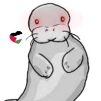 Sophi (Redux) (@sophic_manatee) 's Twitter Profile