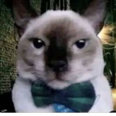 aaaaaaaa769887's profile picture. gameing