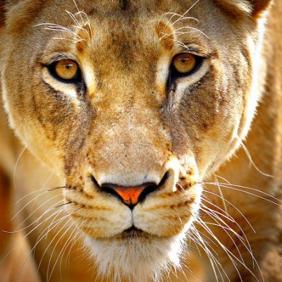MMeroula's profile picture. Σβήσε το φεγγάρι...