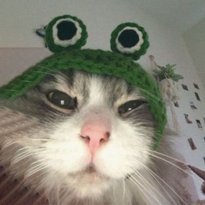 Rewskii Profile