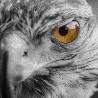 راكـــٰان (@raamzi201552) Twitter profile photo