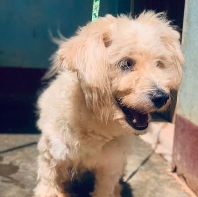 MarcusWils82719's profile picture. Bewi