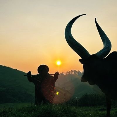 Liberal Thinker. Live free or die.
Native East African