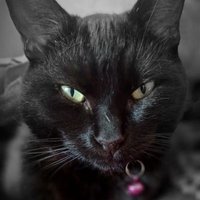 Louise (@novice_stitcher) 's Twitter Profile Photo Louise (@novice_stitcher) 's Twitter Profile Photo
