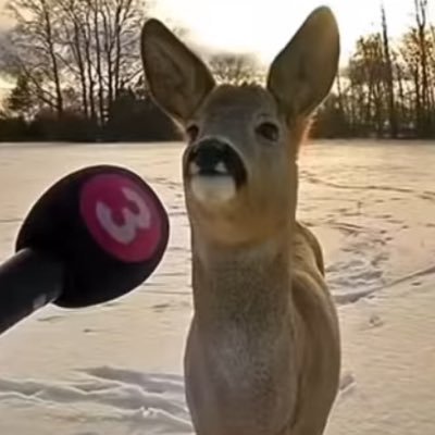 fkyuh_1's profile picture. 