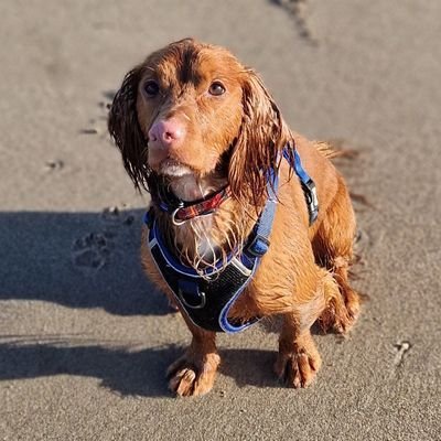 BenScott5008's profile picture. #SUFC Blades army ⚔️⚔️⚔️⚔️