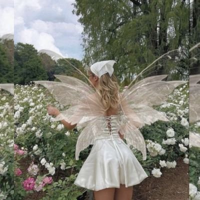 I'm chasing fairy lights🧚🏻♀️lwhere fairy tales whisper✨