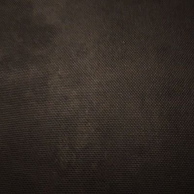 BitaHajra's profile picture. 