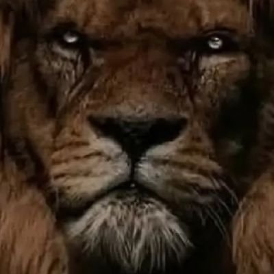 كيف تميز القلم الصهيوني؟
🔻علم دولة بجانب الاسم🔻
اذا صعب عليك تميز اجتنب كل حساب جنب اسمه علم