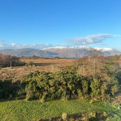 callumb5020's profile picture. 