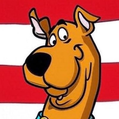 Christian•Patriot•Nationalist•Political Analyst•Commentator•MAGA•America First! •Gen X•IFAPB•WHITE HOUSE-ISH DM’S ONLY!•No Elons•YOLO•💯