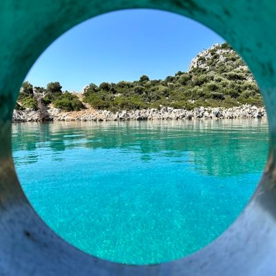 ArzSay's profile picture. pışşt