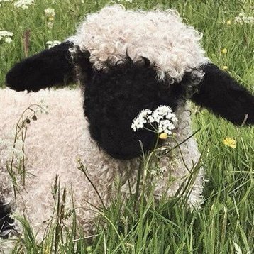 six hundred and eighty
#musictwt resident sheepgirlthing
music @cadence_oatley
