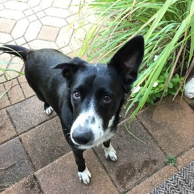 StephenWmSmith's profile picture. Retired federal judge, reeling in the years, stowing away the time.