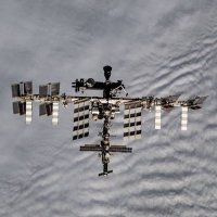 E.l.o.n (@elonmusk_10817) 's Twitter Profile