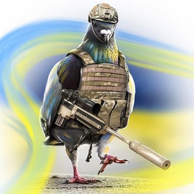 pierrelepigeon1's profile picture. Pigeon voyageur de l'amerique.  
L’expansion de NAFO OFAN n’est pas négociable !