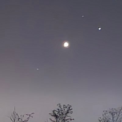 toromboloigna's profile picture. 