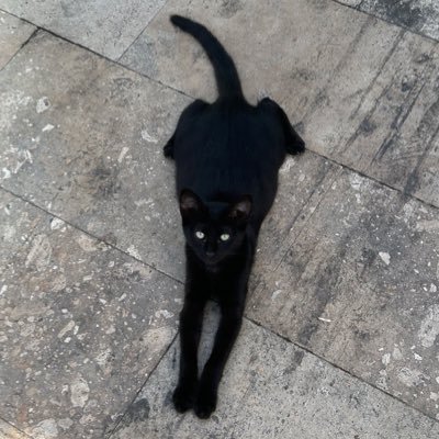 tugbaytekn's profile picture. Ψ