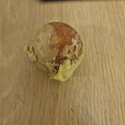EmpiriolNobody's profile picture. Nobody