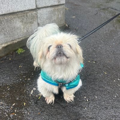 mrbkmb's profile picture. 