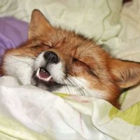 that (@qqqqsso) 's Twitter Profile