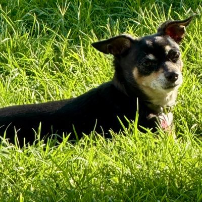 EdwardEsca83767's profile picture. 