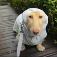 SlobberingRetard (@beej42069) 's Twitter Profile