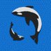 🖱️ (@helmzz_) Twitter profile photo 🖱️ (@helmzz_) Twitter profile photo