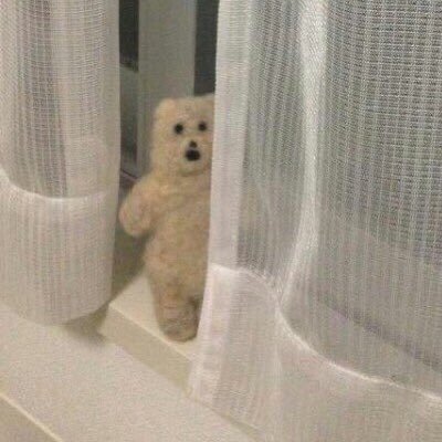 nightycosmetic's profile picture. 이쁜거 모으는 계정