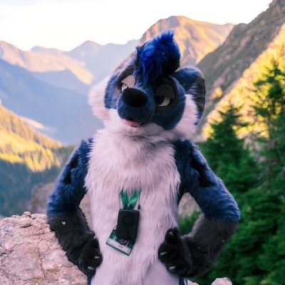 Mongrel 🐶🐺 • Soft Boi 💕🍑🏳️🌈 • Chaotic Good • Engineer 🛸 • Games & Models🎲 • Music 🎶 • Railfur 🚂 • Traveling • SouthEast PA 🔔 • 🔞