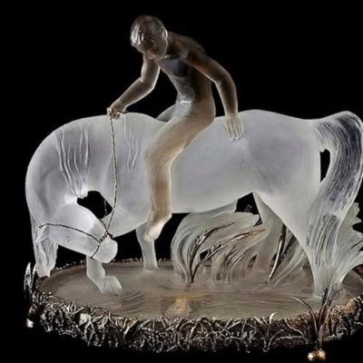 Francisco876193's profile picture. 