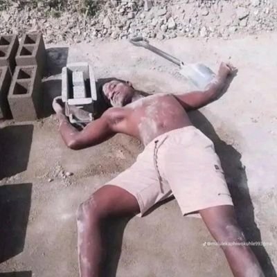 Toss_NC's profile picture. 