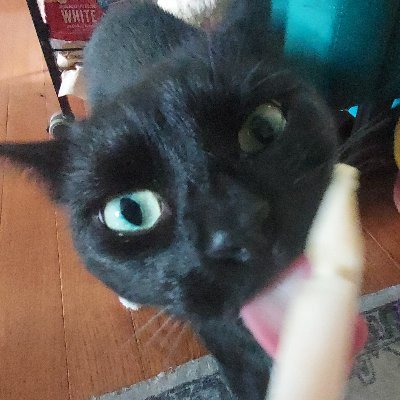 comradetutorial's profile picture. she/her
75% water, 5% hater, 21% markiplier fan