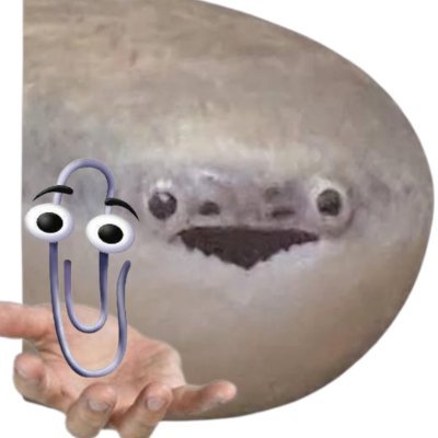 crazy person that likes FISH
Oct 13, 2002
He/him
I'm the sacabambaspis guy