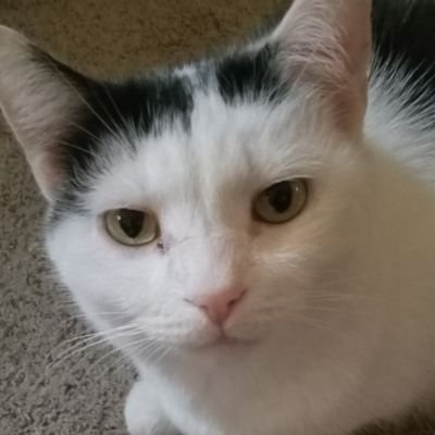 TheWatcher_FUND's profile picture. Nothing I share is Financial Advice. Always Do Your Own Research.